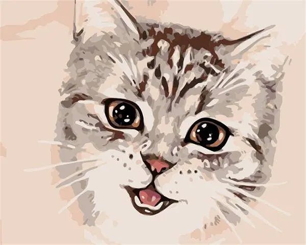 A Cat Face
