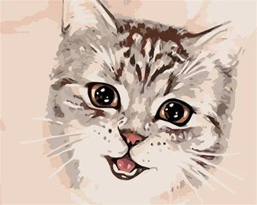 A Cat Face
