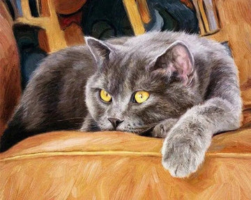 A Cat On A Chair