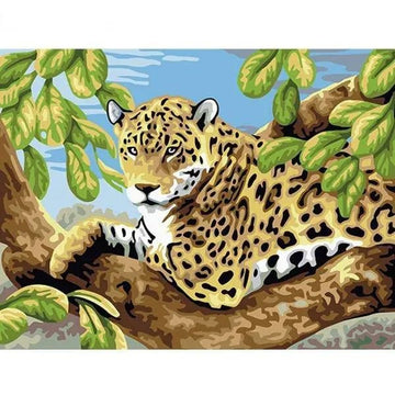 A Cheetah
