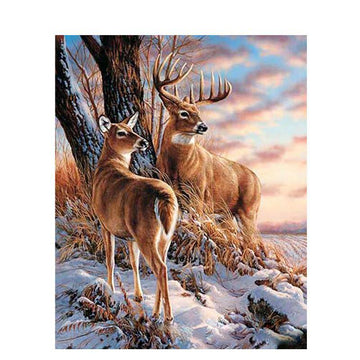 A Couple Of Deer