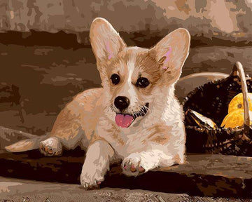 A Dog Posing