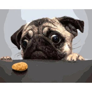 A Dog Want To Eat A Chips