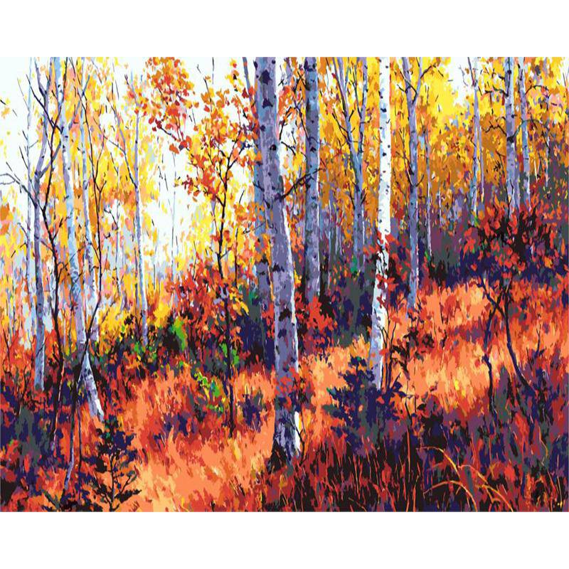 A Forest In Autumn