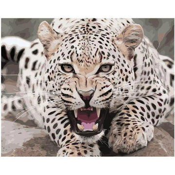 A Leopard On The Defense