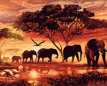 A Sunset And A Herd Of Elephant