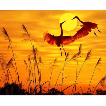 A Swan Couple At Sunset