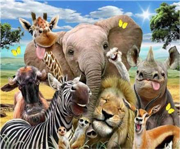 African Animals