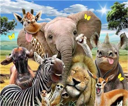 African Animals