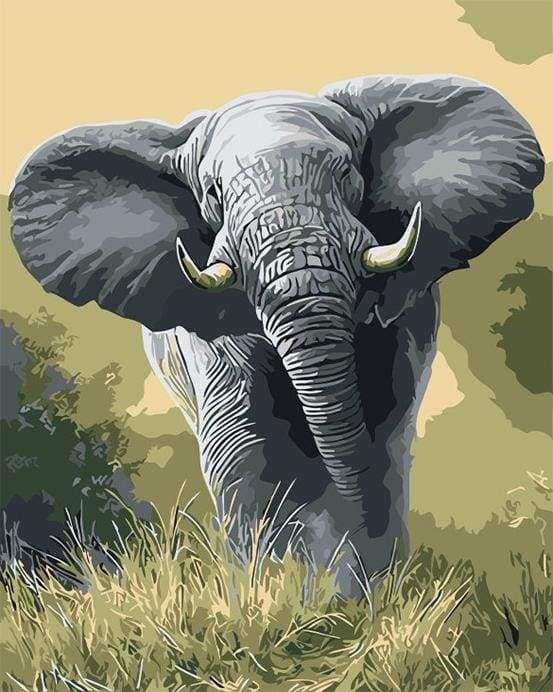 African Elephant
