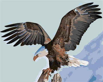 American Eagle