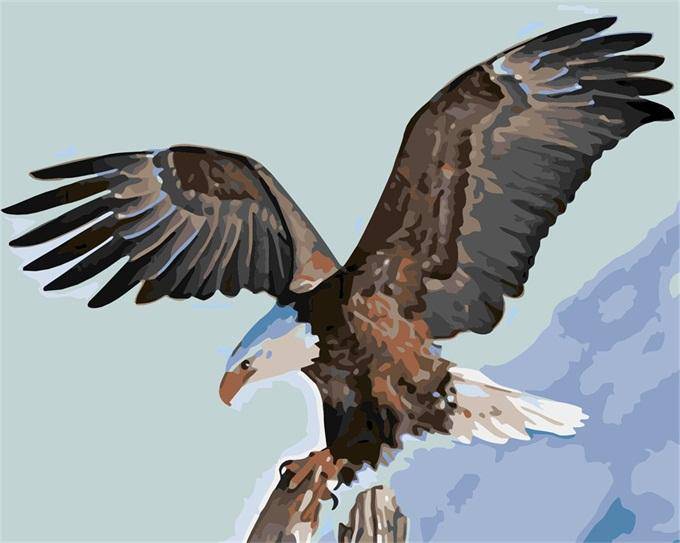 American Eagle