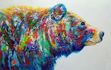 Bear Multicolor