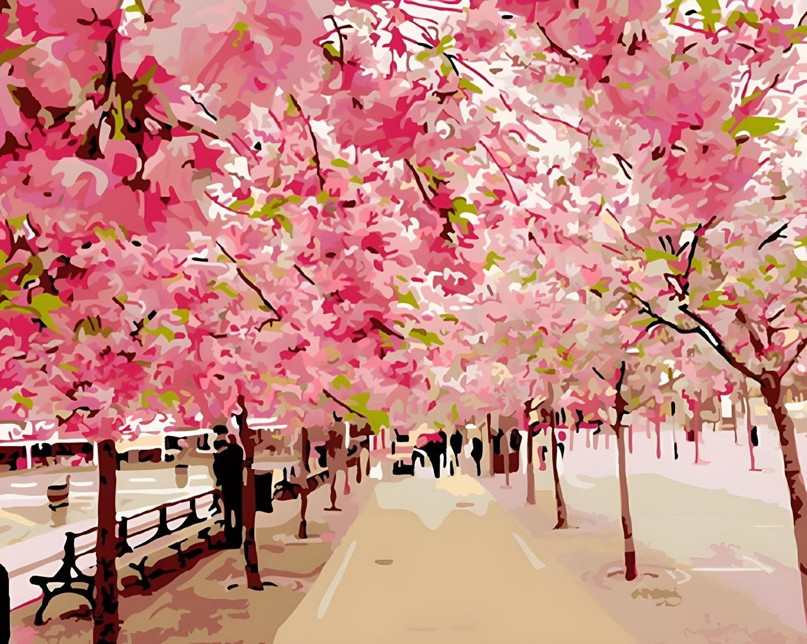 Beautiful Japanese Cherry Blossom Road
