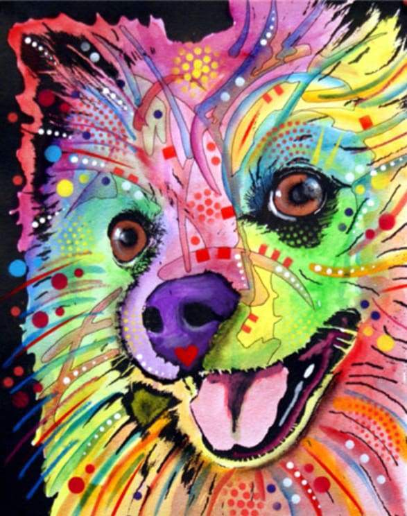 Beautiful dog