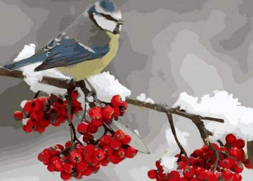 Bird and Red Fruits