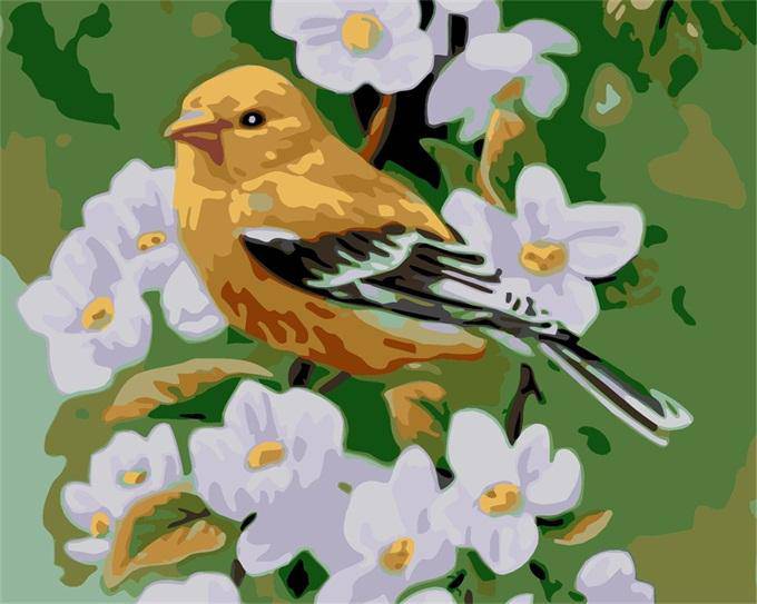 Bird and White Flower
