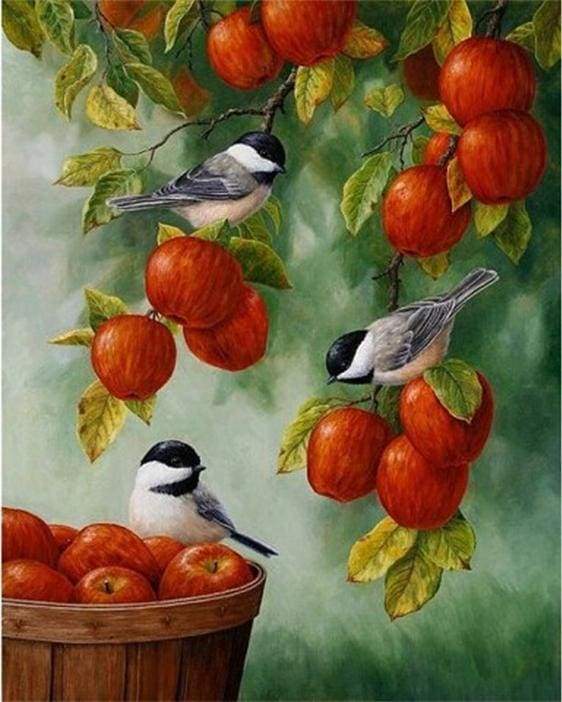 Birds On Red Apples