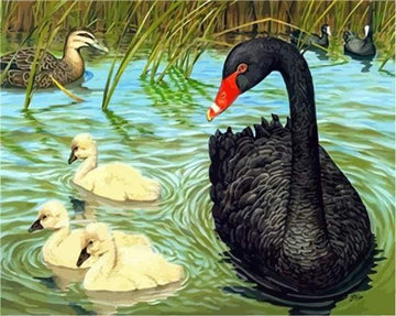 Birds in the Pond