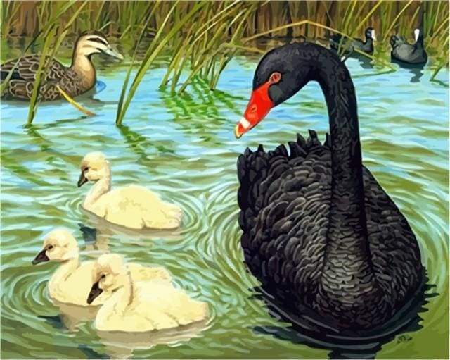 Birds in the Pond