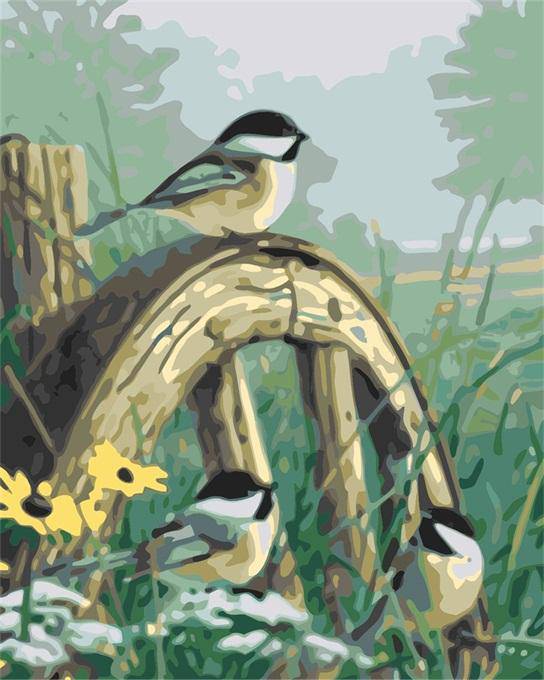 Birds on Wheel