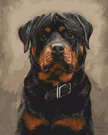 Black dog