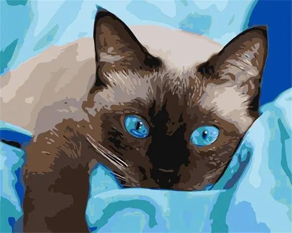 Blue Eyed Cat Lying
