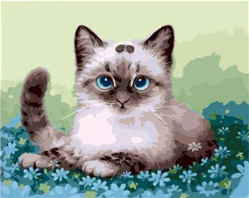 Blue Flowers With Cat