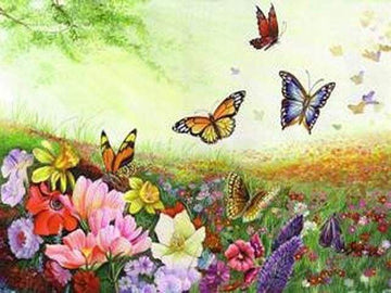 Butterflies and Flowers