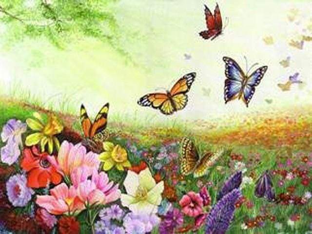 Butterflies and Flowers