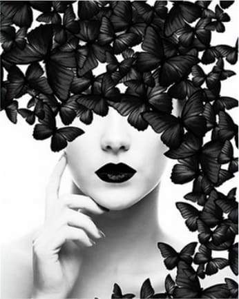 Butterfly Beauty
