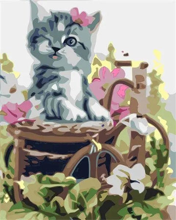 Cat Blinking
