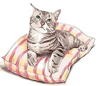 Cat Sitting On a Pillow