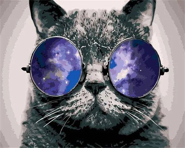 Cat With Sunglass