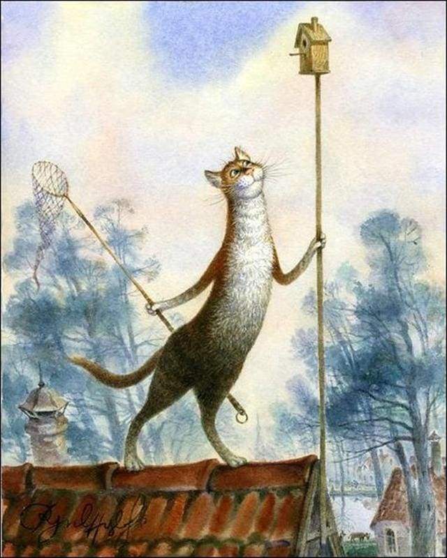 Cat on a roof