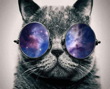 Cat with Sunglasses