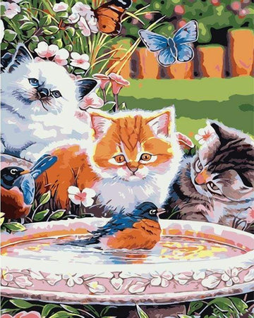 Cats looking at a Bird