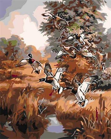 Cheerful Ducks