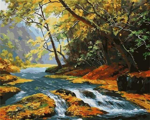 Clear River in the Forest
