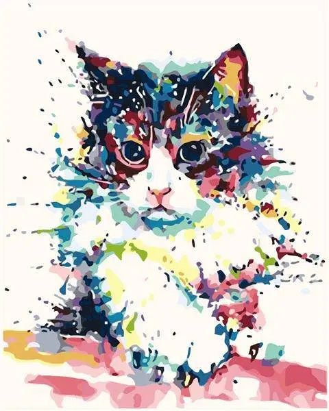 Color Festival Cat