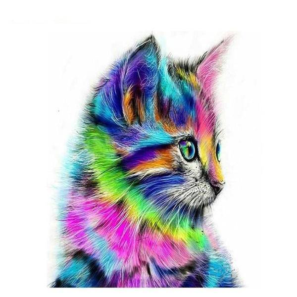Colorful Cat