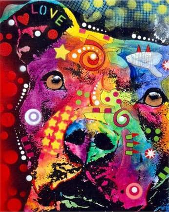 Colorful Dog