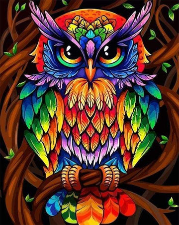 Colorful Owl