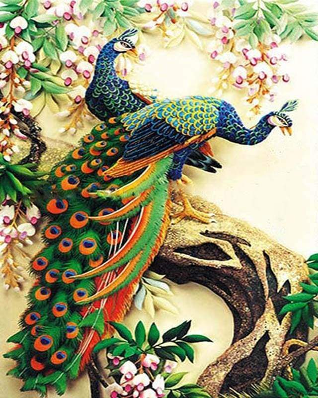 Couple of Peacocks