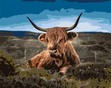Cow Resting