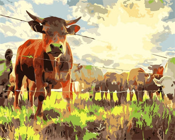 Cows Eating