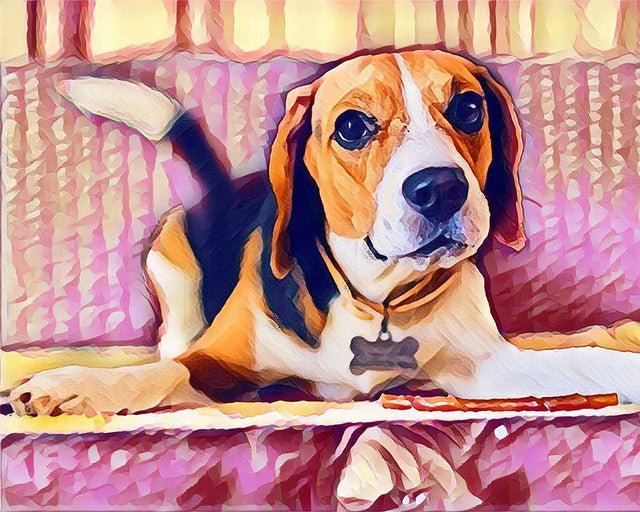 Cute Beagle