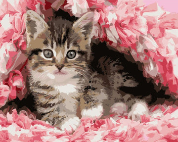 Cute Cat