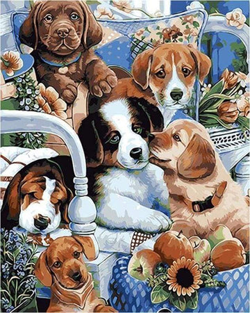 Cute Dogs