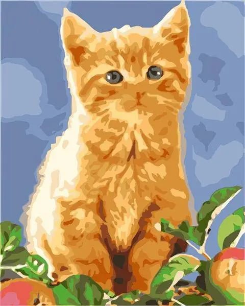 Cute Golden Cat